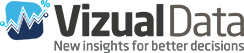 Vizual Data Logo